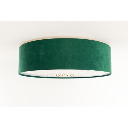 Iluminação de teto RAYS 2xE27/60W/230V diâmetro 60 cm verde