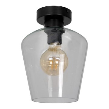 Iluminação de teto SANTIAGO 1xE27/60W/230V transparente