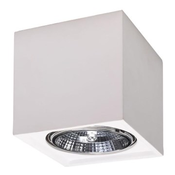 Iluminação de teto SEIDA 1xGU10/40W/230V