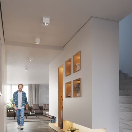 Iluminação de teto SEIDA 1xGU10/40W/230V