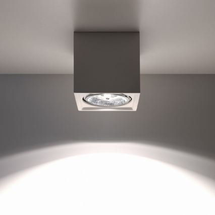 Iluminação de teto SEIDA 1xGU10/40W/230V