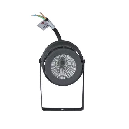 Iluminação exterior LED LED/12W/100-240V IP65 cinzento - iluminação verde