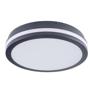 Iluminação fixa BENO LED/24W/230V 3000K preta IP54