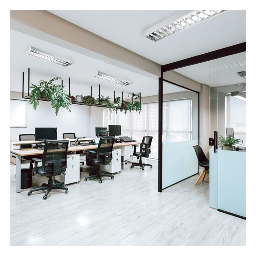 Iluminação fluorescente T8 2xG13/18W/230V 120 cm branco