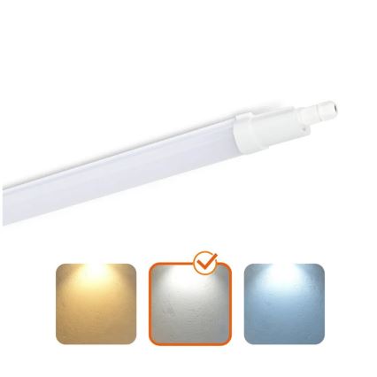 Iluminação industrial fluorescente LED/48W/230V IP65 4000K 156 cm