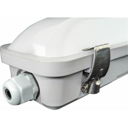 Iluminação industrial fluorescente LED DUST LED/20W/230V 4000K 60 cm IP65