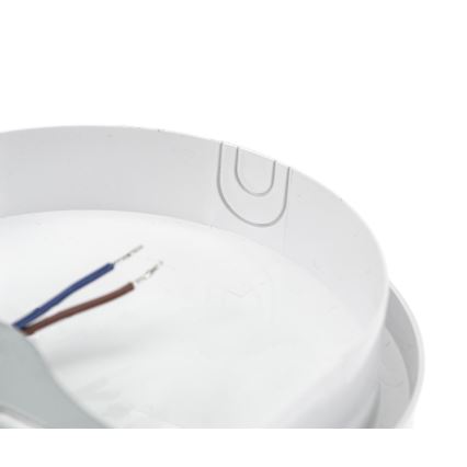 Iluminação industrial LED com sensor PIR LED/20W/230V IP54