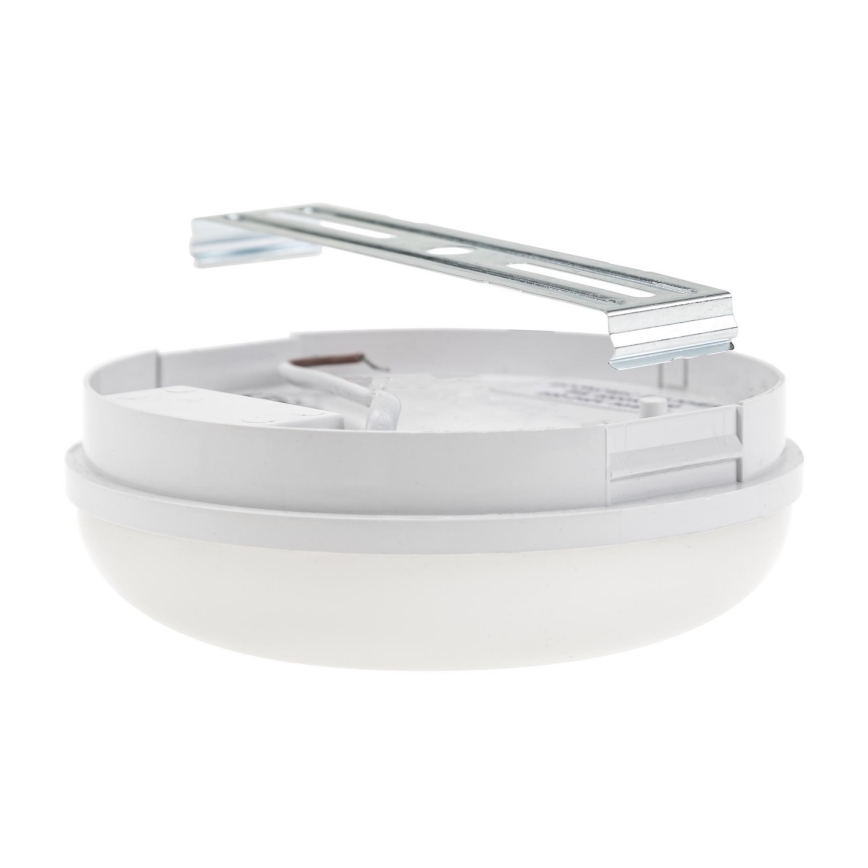 Iluminação industrial LED LED/8W/230V IP54