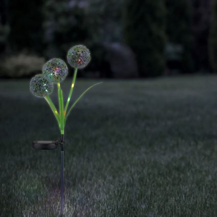 Iluminação solar LED RGB ALLIUM LED/1,2V 6500 600 mAh IP44 preto