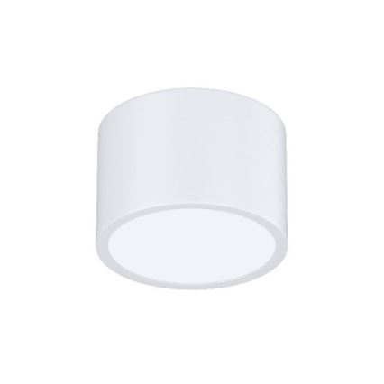 Immax Neo 07024L-15BD - Conjunto 2x Iluminação de teto LED com regulação RONDATE branco 2xLED/12W/230V + controlo remoto Tuya