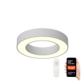 Immax NEO 07095L - Luminária de teto LED dimmerizável PASTEL LED/52W/230V 60 cm Tuya + controlo remoto