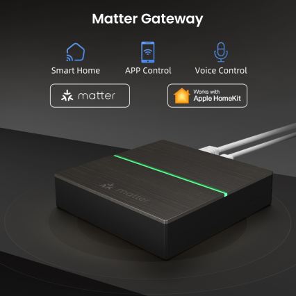 Immax NEO 07117-5 - Ponte Matter Inteligente Zigbee 3.0 230V Tuya Wi-Fi
