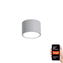 Immax NEO 07143-GR15X - Iluminação de teto LED com regulação RONDATE LED/12W/230V Tuya cinzenta