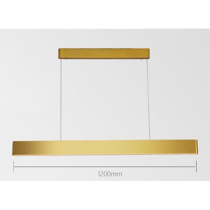 Immax NEO 07157-G120X - LED RGB+CCTW Candelabro suspenso com regulação MILANO LED/40W/230V Tuya dourada