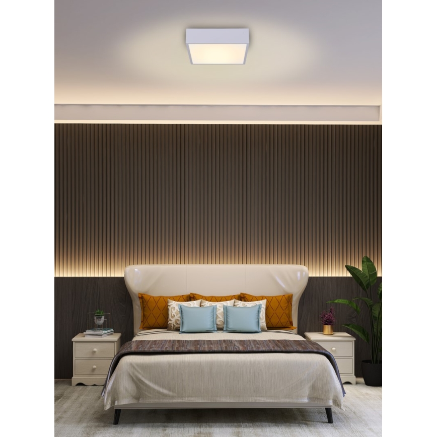 Immax NEO 07238L - Luminária de teto LED regulável CANTO LED/22W/230V branca Tuya + controlo remoto