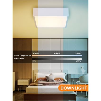 Immax NEO 07238L - Luminária de teto LED regulável CANTO LED/22W/230V branca Tuya + controlo remoto