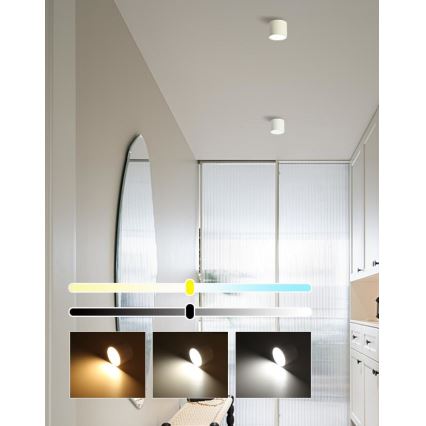 Immax NEO 07241L - Luminária de teto LED dimerizável RONDATE LED/18W/230V 11,5 cm Wi-Fi Tuya