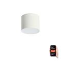 Immax NEO 07241L - Luminária de teto LED dimerizável RONDATE LED/18W/230V 11,5 cm Wi-Fi Tuya