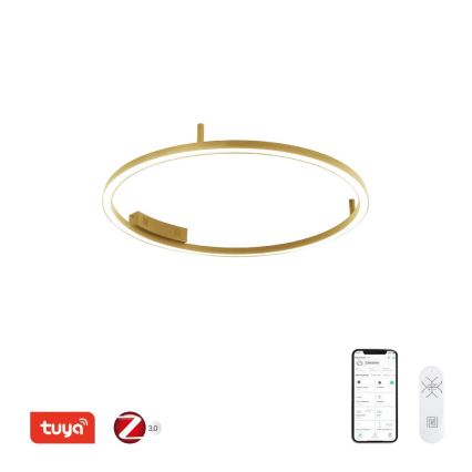 Immax NEO 07291-80G - LED+CCT Candeeiro de tecto com dimmer FINO LED/55W/230V 2700-6500K Tuya Ø 80 cm + comando remoto