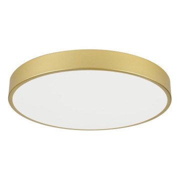 Immax NEO 07293L - Luminária de teto LED dimerizável NEO LITE SEMPLICI LED/60W/230V 3000-6000K diâmetro 60 cm Wi-Fi Tuya dourada + controlo remoto