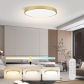 Immax NEO 07312L - Luminária de teto LED regulável SEMPLICI LED/128W/230V Ø 100 cm Wi-Fi Tuya dourada + comando remoto