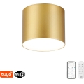Immax NEO 07317L - Candeeiro de tecto LED dimerizável RONDATE LED/18W/230V Ø 11,5 cm Wi-Fi Tuya dourado