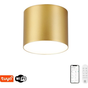Immax NEO 07317L - Luminária de teto LED dimerizável RONDATE LED/18W/230V Ø 11,5 cm Wi-Fi Tuya dourada