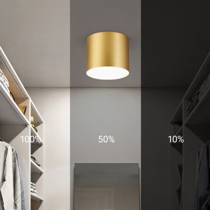 Immax NEO 07317L - Candeeiro de tecto LED dimerizável RONDATE LED/18W/230V Ø 11,5 cm Wi-Fi Tuya dourado