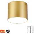 Immax NEO 07318L - Candeeiro de teto LED regulável RONDATE LED/32W/230V pr. 16,5 cm Wi-Fi Tuya dourado