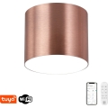 Immax NEO 07320L - Luminária de teto LED dimerizável RONDATE LED/32W/230V Ø 16,5 cm Wi-Fi Tuya ouro rosé