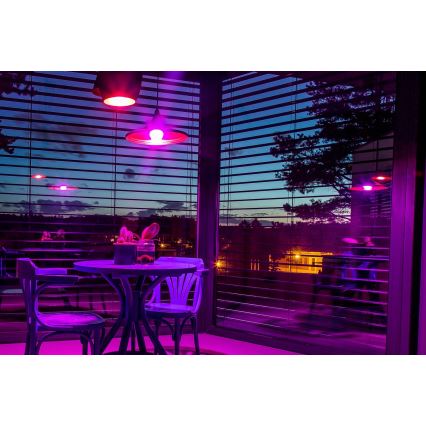 Immax NEO 07733CDO - CONJUNTO 3x Lâmpada LED RGB+CCT Regulável E27/11W/230V Wi-Fi Tuya + controlo remoto