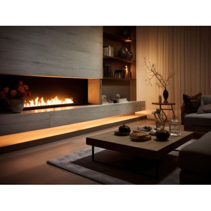 InFire - Lareira embutida BIO 7,5x120 cm 7kW preto