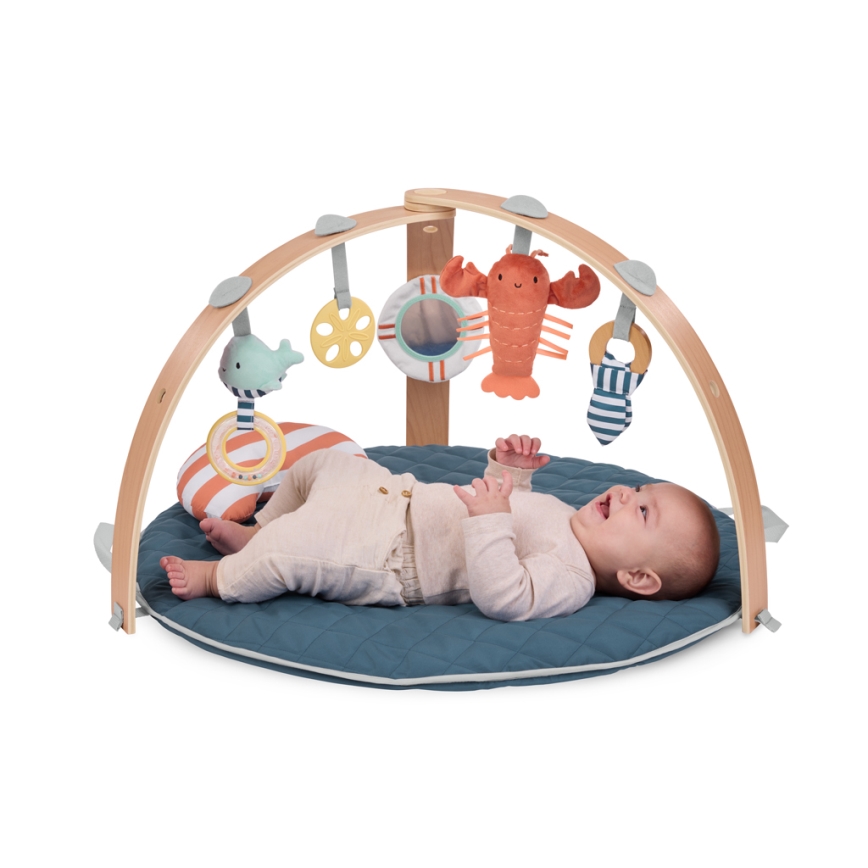 Ingenuity - Tapete de atividades para bebé HARBOR HEAVEN