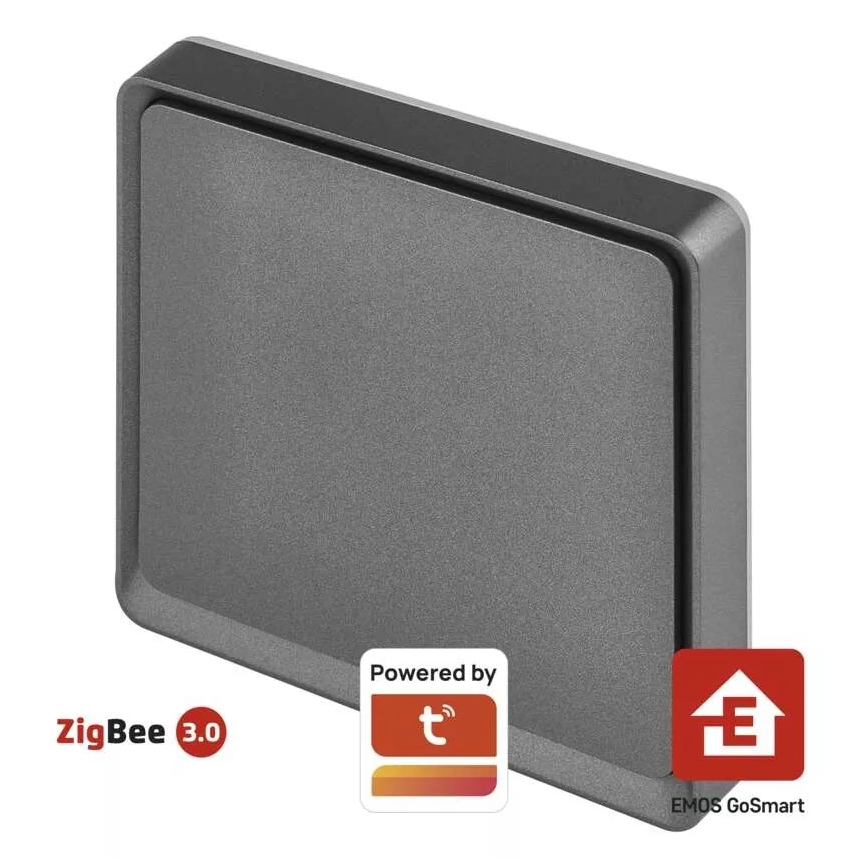 Interruptor 1-botão GoSmart 1xCR2430 Tuya preto