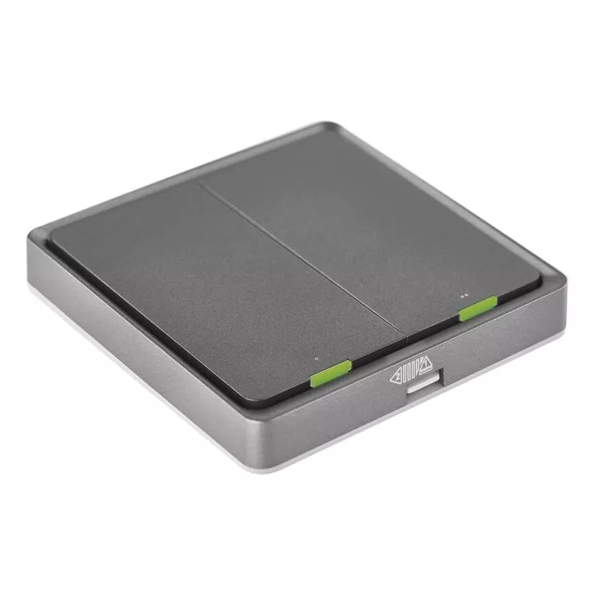 Interruptor 2-botões GoSmart 1xCR2430 Tuya preto