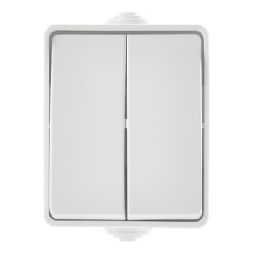 Interruptor de casa sériový 250V/10A IP54