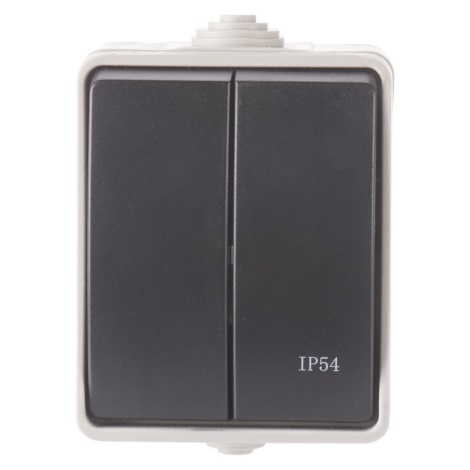 Interruptor de série doméstico 250V/10A IP54
