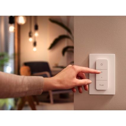 Interruptor dimmer Philips Hue V2 1xCR2032