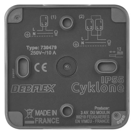 Interruptor doméstico alternado 250V/10A IP55