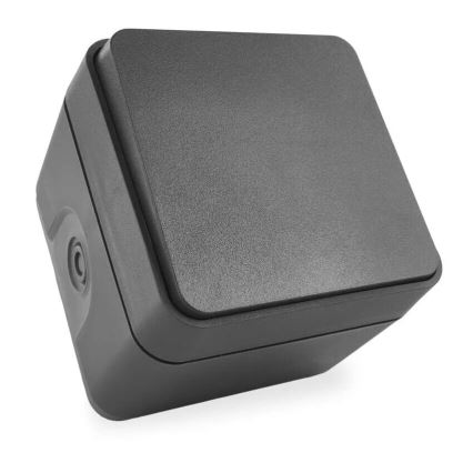 Interruptor doméstico alternado 250V/10A IP55