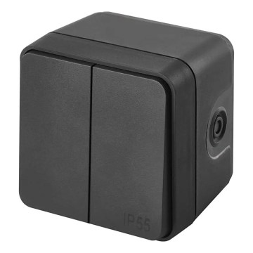 Interruptor doméstico de 2 teclas alternado, n.º 6+6, IP55, antracite