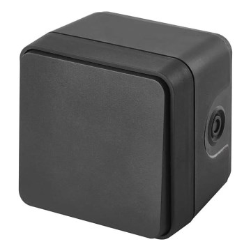 Interruptor doméstico de corrente alternada 250V/10A IP55