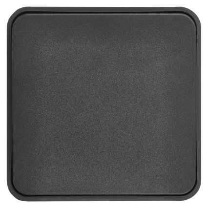 Interruptor doméstico de corrente alternada 250V/10A IP55