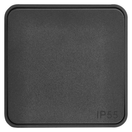 Interruptor doméstico ligar 250V/10A IP55