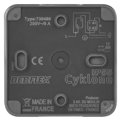 Interruptor doméstico ligar 250V/10A IP55