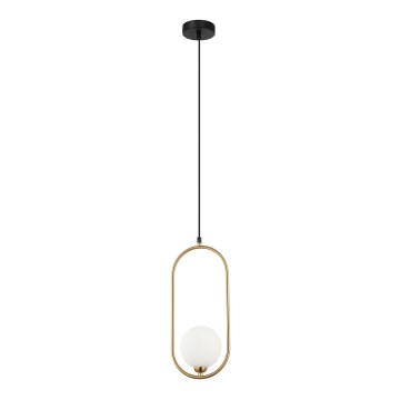ITALUX - Candeeiro suspenso LUPUS 1xG9/25W/230V preto/dourado