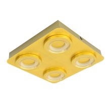 ITALUX - Iluminação de teto LED AURORE 4xLED/20W/230V