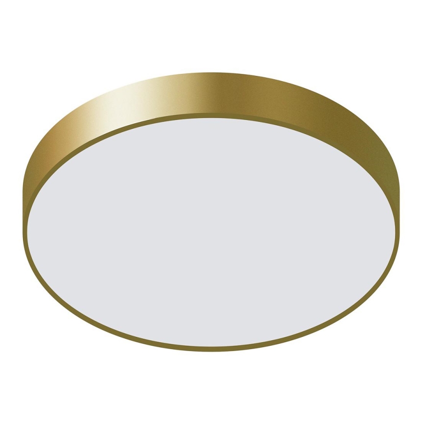 ITALUX - Iluminação de teto LED ORBITAL LED/30W/230V 3000K dourada