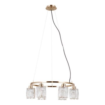 ITALUX - Lustre em cabo SIMONA 6xE14/40W/230V dourado