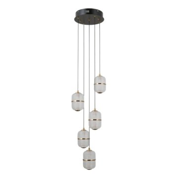 ITALUX - Lustre LED em cabo ALANI 5xLED/5,6W/230V 3000K preto/dourado